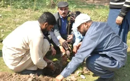 Alfalah Welfare Organization Tree Plantation