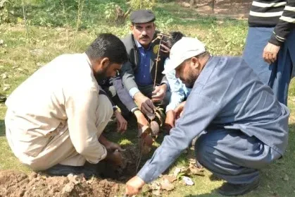 Alfalah Welfare Organization Tree Plantation Alfalah Welfare Organization Tree Plantation