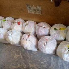 Alfalah Welfare Organization Free Food Bags