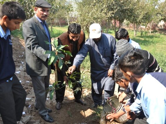 Alfalah Welfare Organization Tree Plantation