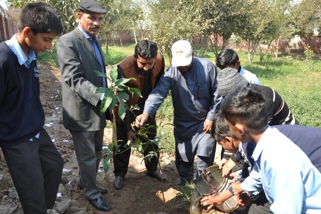 Alfalah Welfare Organization Tree Plantation