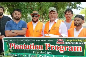 Importance of tree plantation