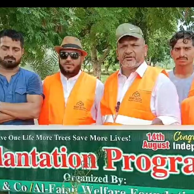 Importance of tree plantation Importance of tree plantation