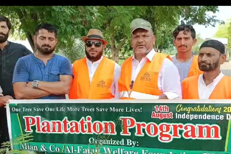 Importance of tree plantation